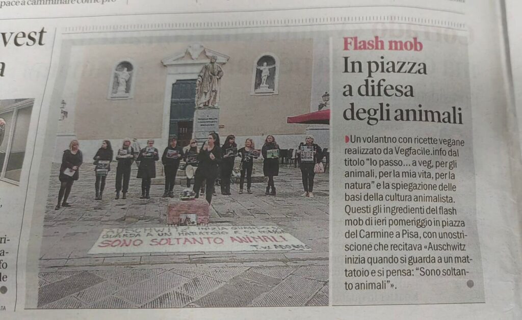 WhatsApp Image 2023-11-02 at 18.37.28 WhatsApp Image 2023-11-02 at 18.37.28