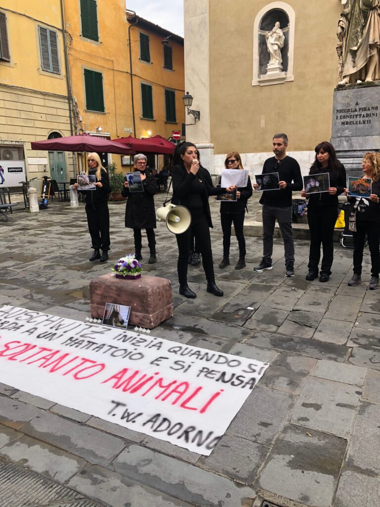 WhatsApp Image 2023-11-02 at 18.40.48 (3) WhatsApp Image 2023-11-02 at 18.40.48 (3)