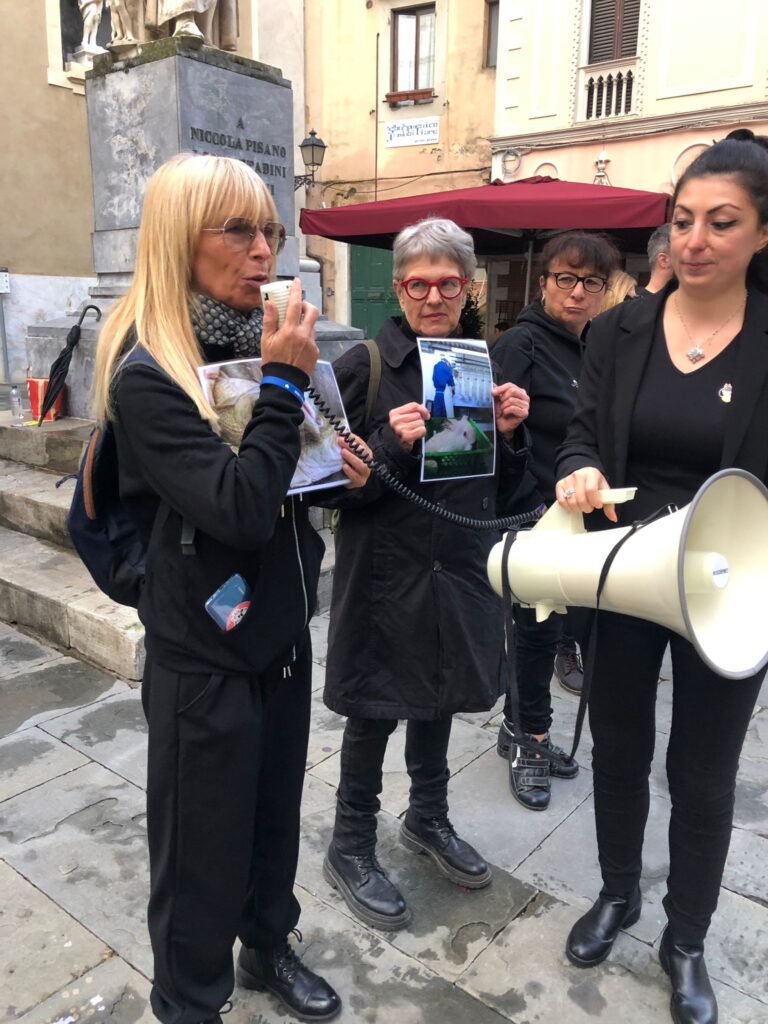 WhatsApp Image 2023-11-02 at 18.40.49 WhatsApp Image 2023-11-02 at 18.40.49