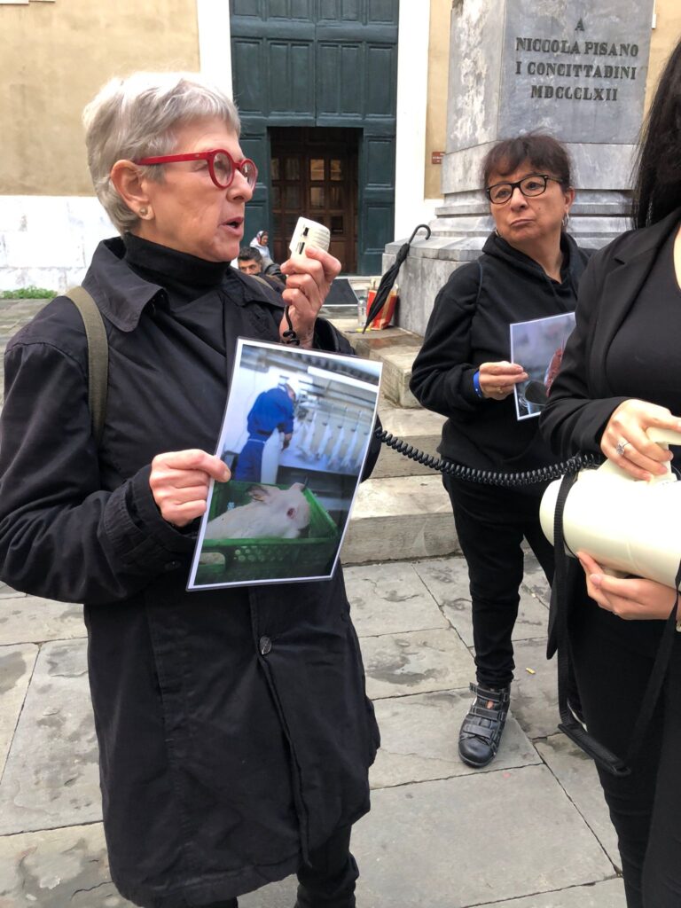 WhatsApp Image 2023-11-02 at 18.40.50 WhatsApp Image 2023-11-02 at 18.40.50