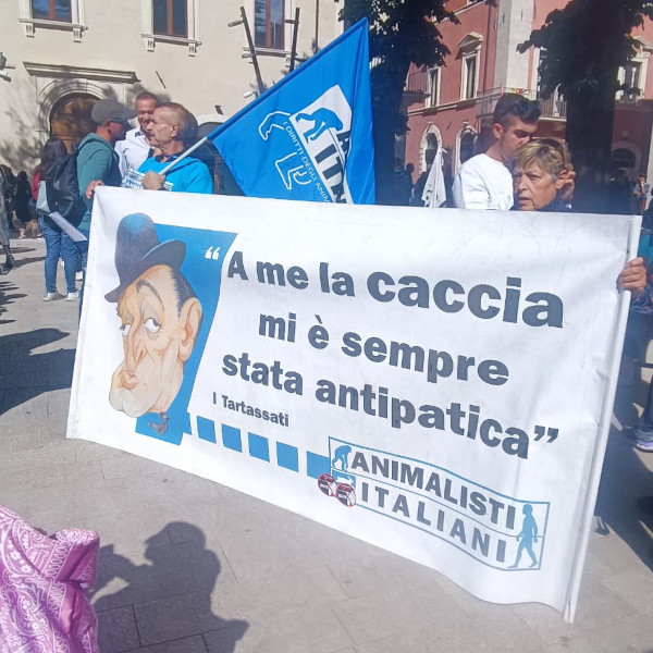 WhatsApp-Image-2024-09-15-at-11.01.40-2- WhatsApp-Image-2024-09-15-at-11.01.40-2-