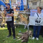 WhatsApp Image 2025-06-24 at 14.10.14 (2) WhatsApp Image 2025-06-24 at 14.10.14 (2)