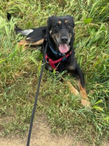 WhatsApp Image 2025-07-30 at 13.02.40 (2) WhatsApp Image 2025-07-30 at 13.02.40 (2)