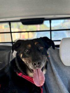 WhatsApp Image 2025-07-30 at 13.02.40 (3) WhatsApp Image 2025-07-30 at 13.02.40 (3)