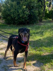 WhatsApp Image 2025-07-30 at 13.02.41 WhatsApp Image 2025-07-30 at 13.02.41