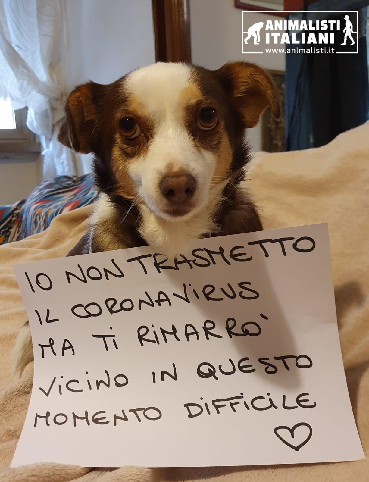 Milady_Mascotte Animalisti Italiani