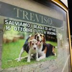 Treviso-1
