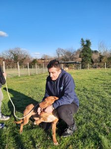 WhatsApp Image 2022-03-01 at 16.53.19