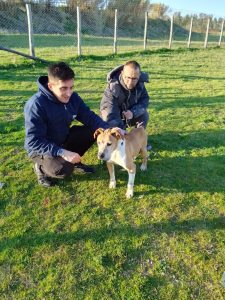 WhatsApp Image 2022-03-01 at 17.20.33 (1)