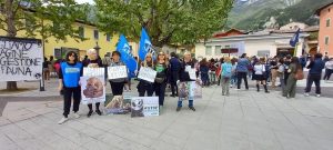 WhatsApp Image 2023-05-01 at 09.54.51