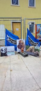 WhatsApp Image 2023-05-01 at 09.54.54 (1)