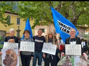 WhatsApp Image 2023-05-01 at 09.54.54