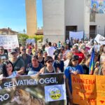 Manifestazione San Benedetto dei Marsi_Animalisti Italiani Onlus (12)