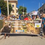 Manifestazione San Benedetto dei Marsi_Animalisti Italiani Onlus (18)