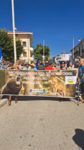 Manifestazione San Benedetto dei Marsi_Animalisti Italiani Onlus (18)