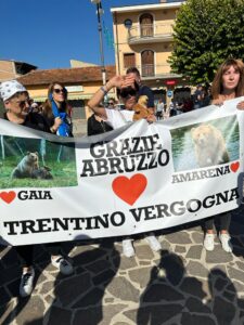 Manifestazione San Benedetto dei Marsi_Animalisti Italiani Onlus (8)