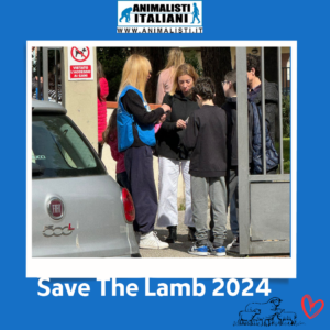 Save The Lamb_2024 (2)