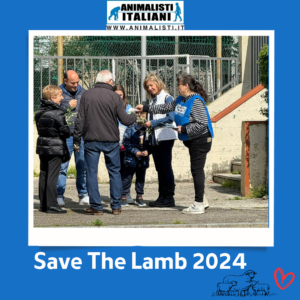 Save The Lamb_2024 (22)