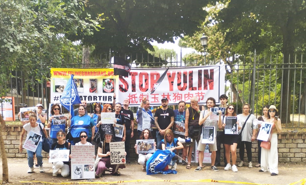 23744905-dfd1-41b2-8dfd-9c5ed494c831