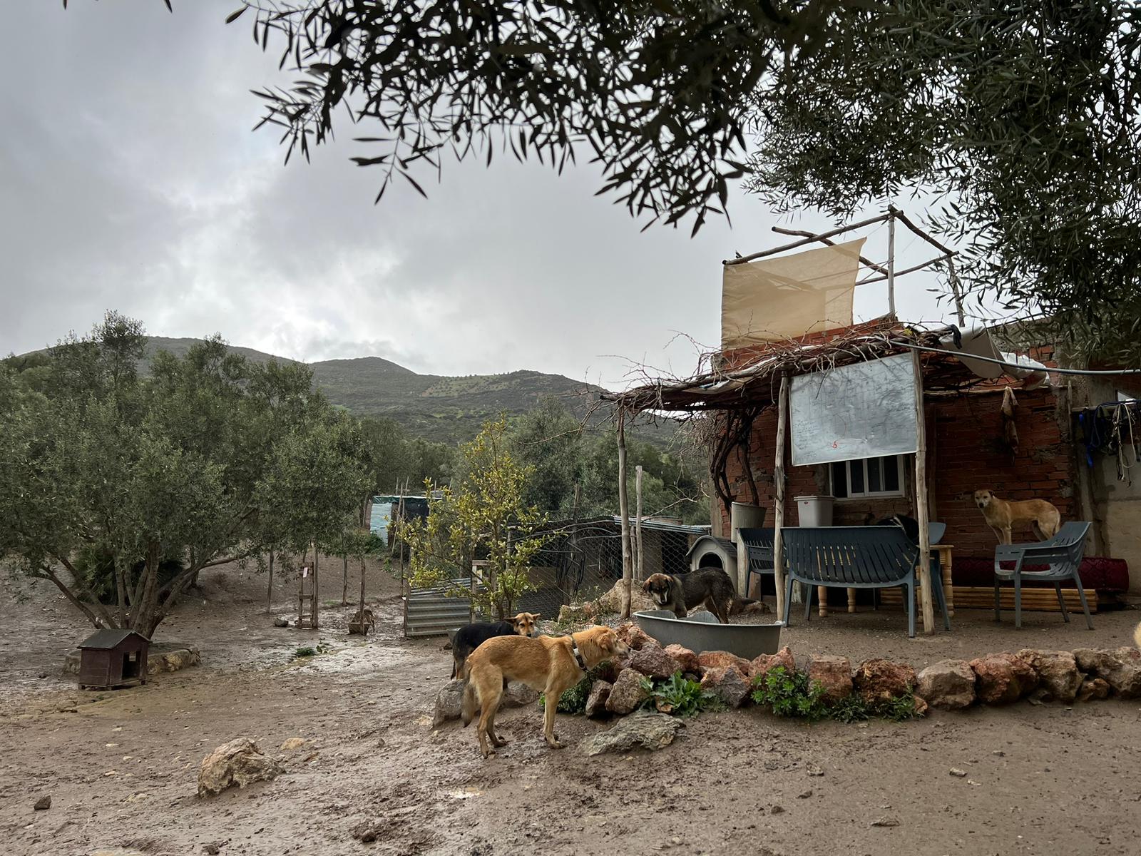 WhatsApp Image 2024-05-23 at 09.51.38 (1)