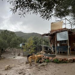 WhatsApp Image 2024-05-23 at 09.51.38