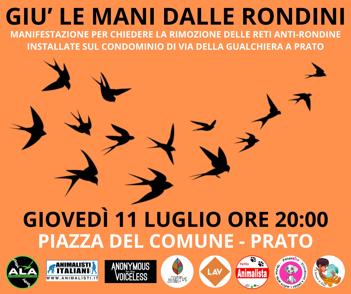 WhatsApp Image 2024-06-28 at 13.04.51