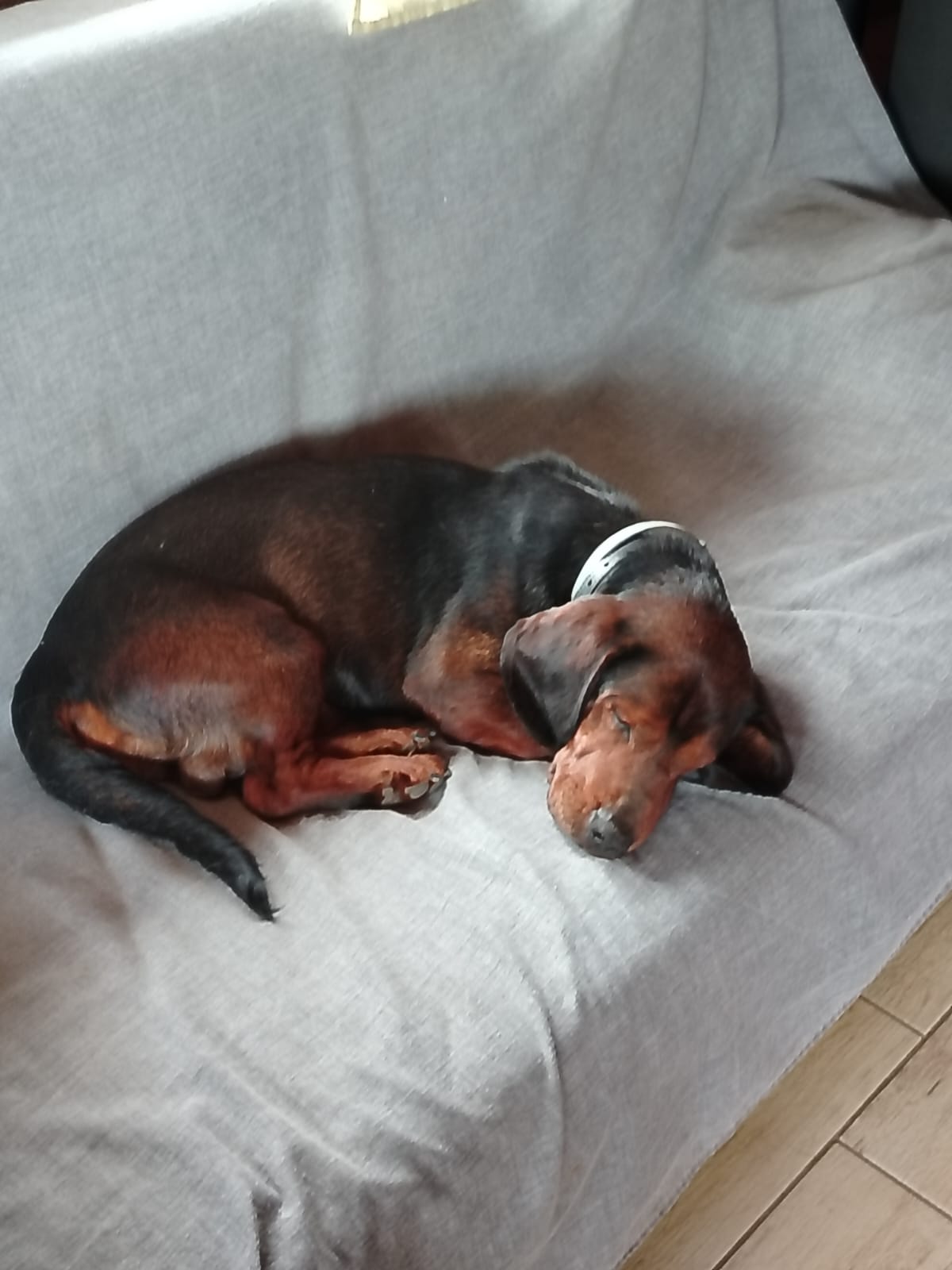 WhatsApp Image 2024-07-01 at 10.28.28