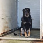 WhatsApp Image 2020-01-29 at 15.21.56(1)