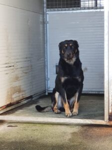 WhatsApp Image 2020-01-29 at 15.21.56(1)