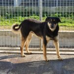 WhatsApp Image 2020-01-29 at 15.21.56(2)