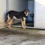 WhatsApp Image 2020-01-29 at 15.21.57