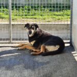 WhatsApp Image 2020-01-29 at 15.21.57(1)