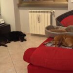 WhatsApp Image 2025-02-14 at 18.43.29 (1)