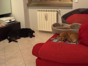 WhatsApp Image 2025-02-14 at 18.43.29 (1)