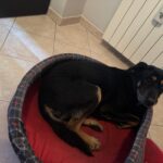 WhatsApp Image 2025-02-15 at 16.48.40 (1)