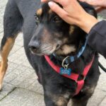 WhatsApp Image 2025-03-16 at 21.09.21 (2)