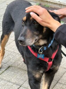 WhatsApp Image 2025-03-16 at 21.09.21 (2)