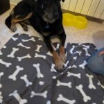 WhatsApp Image 2025-03-16 at 21.09.21 (3)