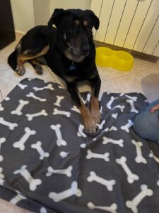 WhatsApp Image 2025-03-16 at 21.09.21 (3)