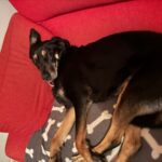 WhatsApp Image 2025-03-26 at 19.24.10 (1)