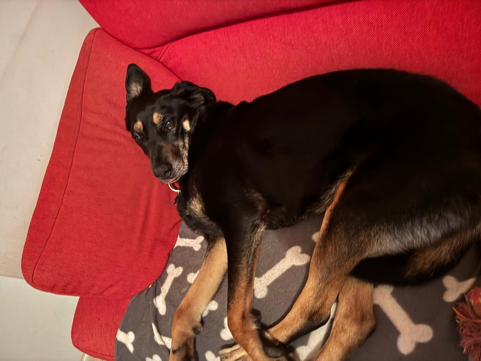 WhatsApp Image 2025-03-26 at 19.24.10 (1)