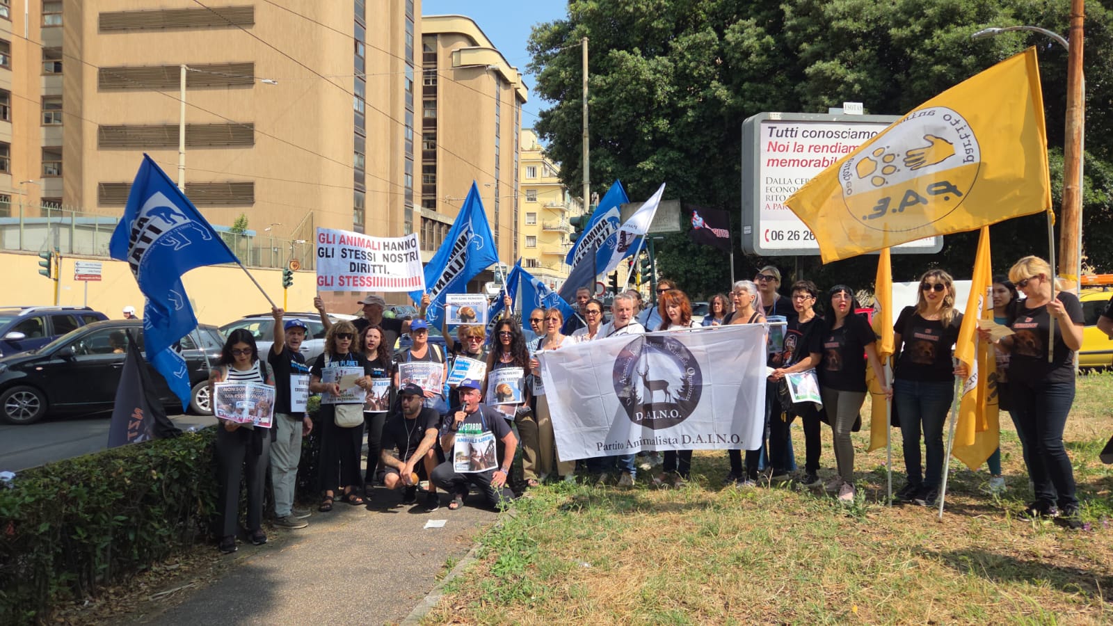 WhatsApp Image 2025-06-10 at 10.53.49