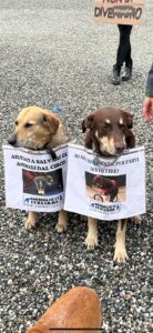 WhatsApp Image 2025-06-11 at 17.12.40