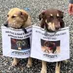 WhatsApp Image 2025-06-11 at 17.12.40