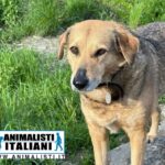 WhatsApp Image 2025-06-11 at 17.12.41