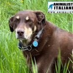 WhatsApp Image 2025-06-11 at 17.12.41 (2)