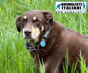 WhatsApp Image 2025-06-11 at 17.12.41 (2)