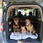 WhatsApp Image 2025-06-11 at 17.12.41 (3)