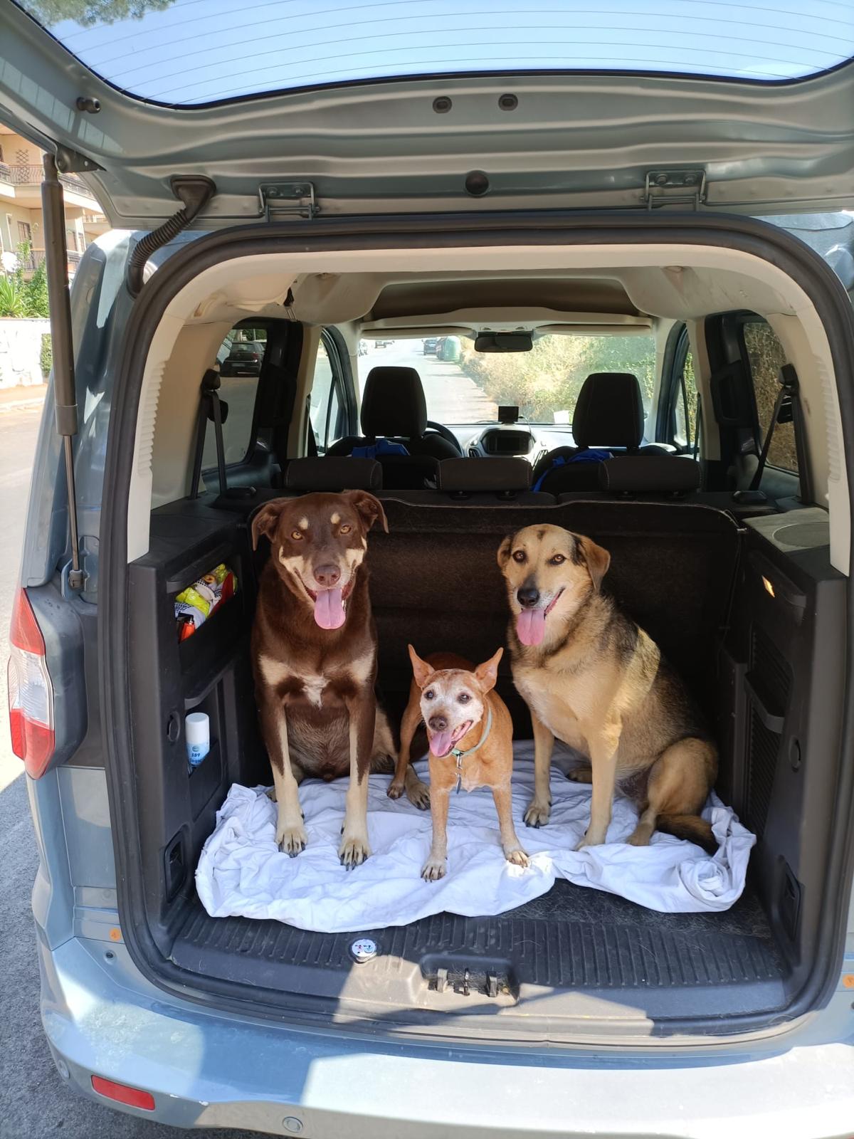 WhatsApp Image 2025-06-11 at 17.12.41 (3)