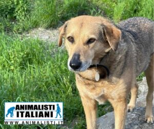 WhatsApp Image 2025-06-11 at 17.12.41